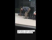 Pet lizard for a walk 