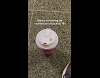 Bug crawls on coffee lid on the floor in courthouse