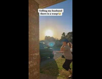 Husband runs away from wasp 