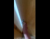 Guy opens door see two dogs then screams