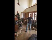 Brown dog jumps and sits on shoulder 