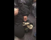 black back pack green snake