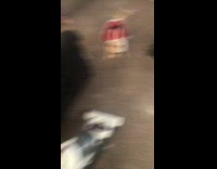 dog santa sweater barking at vacuum 