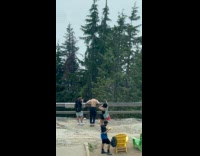 Collab IITW - Man shirtless poses on wooden fence cliff