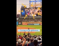 Fans bucket list experience in MLB game