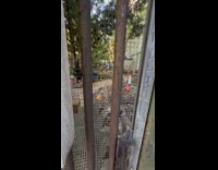 Community garden locked with market deal poster