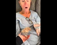 Submitter shows mom before and after meeting pet hamster