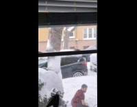 Collab IITW - Man rose shirt suspenders snow yard book