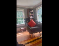 Cat kneading chairs backrest 