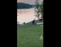 Collab Clips MPUGC - Women does parody of camp rock march