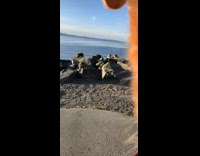 teen girls record dance by rocks