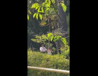 Two girls sunglasses dance arm heart garden