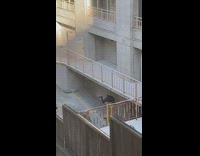 Black shirt guy balances two yellow poles 