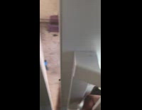 Pet dog gets a pat on the head at the backyard