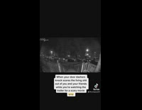 Delivery guys knock scares people inside 