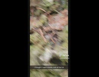 Woman finds huge moldy rock mesmerized 