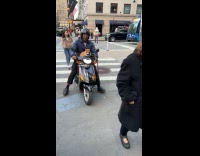 Cat wears sunglasses rides scooter with man