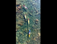 Aerial shot of people kayaking on river