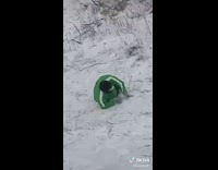 Man in green jacket sleds down hill and falls