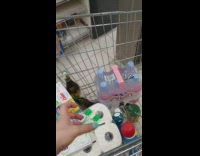 Woman picks up nothing from shelf 