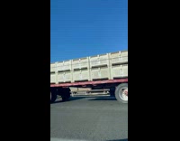 Siblings thought driver was woman 