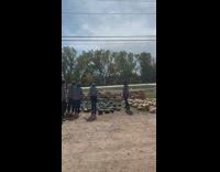 Family checkered polo same outfit pumpkin farm