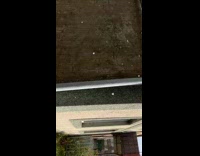 Man shows weather randomly snowing 