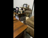 Pet cat carries a pants and approaches its owner