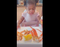 Toddler girl in highchair eats seafood 