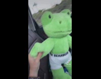 Build a bear workshop paper for green frog in white boxers