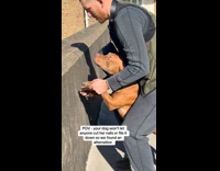 Man filing dogs nails on concrete wall 