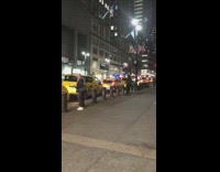 White duck stands outside on sidewalk night