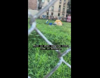 yellow and blue tent on grass