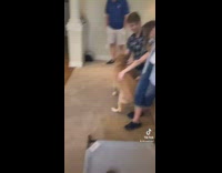 Collab BitchMP - Impatient dog wants to ruin birthday dogs cake