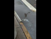 Water puddle boils on the side of street 