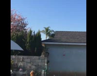 golden retriever barking at hot air balloon in the sky