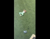 Women green leggings records herself doing crunches