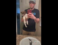 Tiktok famous guy puppy in bathroom mirror