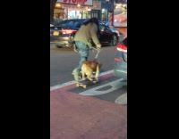 Guy and dog on leash skateboard together
