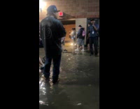 Collab WINY - People walk on flooded floor at stadium