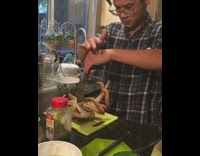 Guy knife stab kill huge crab kitchen