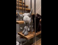 Cat beside stuffed toy on the stairs