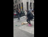 Dog lays on back on sidewalks