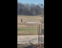 Little girl skating on small patch of ice at park