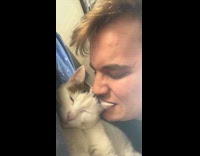 Man nibbling cats ear slaps on face