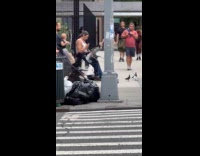 Collab WINY - Man white top handfeed pigeons on street