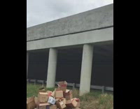 Guy green costume frog jumps off bridge into cardboard boxes