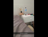 brown puppy on white nightstand falls off