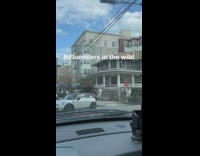 Woman white outfit checkered heels stairs pictorial