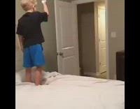 Poor Jay Ball Bounce Wall Poor Jay (Vine)
